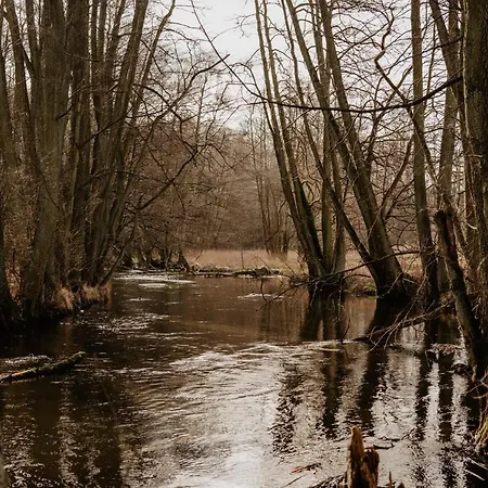Glamping Jurty Czapla Wałcz
