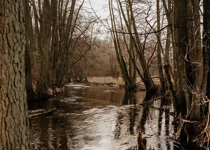 Glamping Jurty Czapla Wałcz