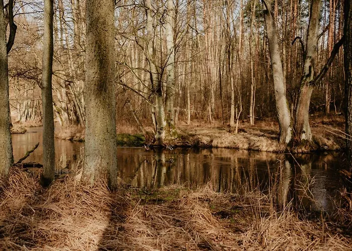 Glamping Jurty Czapla Οργανωμένο κάμπινγκ *